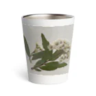 inakaen  いなか園の押し花『さんさ　しおん』 Thermo Tumbler