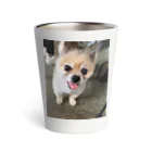 チワワの実夕ちゃんと保護犬保護猫ちゃん達の保護犬のふぅちゃん Thermo Tumbler