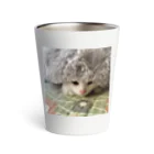 ねこノートのちらっと Thermo Tumbler