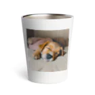 けんとの昼寝する子犬 Thermo Tumbler