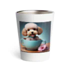 Công ty tròn quây quâyのティーカッププードルのプー太 Thermo Tumbler