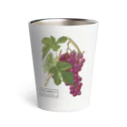 たくみのグッズショップのヨーロッパブドウ（Vitis vinifera） Thermo Tumbler