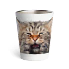 日向ぼっこのずぶ濡れ猫 Thermo Tumbler