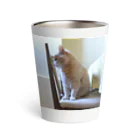 ねこかわたすかるのねこかわたすかる9 Thermo Tumbler