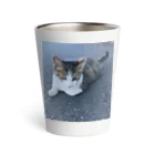 ながしっぽ from.さくらねこの家のながしっぼ typeN Thermo Tumbler