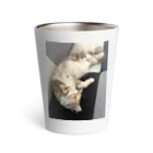 吾輩はベルである。ショップの福猫ベルちゃんの開運グッズ Thermo Tumbler