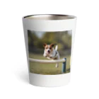 jackrussellvibes___のハードルをジャンプしているジャックラッセルテリア Thermo Tumbler