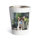 猫君の歯医者さんの歯ブラシ猫 Thermo Tumbler