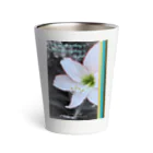 ChicClassic（しっくくらしっく）のお花・In nature, nothing is perfect and everything is perfect. Thermo Tumbler