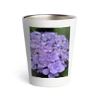 yurisacinの紫陽花（紫） Thermo Tumbler