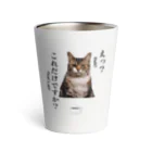 catnip factoryの不満顔の猫 Thermo Tumbler