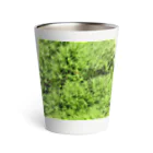 アトリエWindwingの苔グッズ（タマゴケ玉つき） Thermo Tumbler