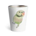 まめるりはことりのご機嫌なダルマインコちゃん【まめるりはことり】 Thermo Tumbler