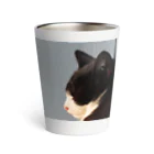 でおきしりぼ子の実験室の猫であるということ(1) Thermo Tumbler