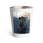 ながしっぽ from.さくらねこの家のとらちゃん　type.Ｂ Thermo Tumbler