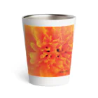 あおちゃん商会のMarigold （マリーゴールド）オレンジ Thermo Tumbler