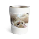 ねこたちのみつサーモ Thermo Tumbler