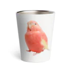 アキクサインコのチャムのアキクサインコのチャム（実写うふ顔） Thermo Tumbler