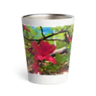 Nskw_SUZURIの夏花 Thermo Tumbler