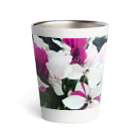 prosopocoilusunのCyclamen Thermo Tumbler