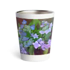 水彩屋の紫陽花（生花） サーモタンブラー