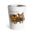 猫カフェ ぶぅたんグッズショップのFriend or Rival Thermo Tumbler