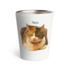 猫カフェ ぶぅたんグッズショップの仏のような寝顔のトコちゃん Thermo Tumbler