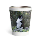 はっちゃんhachiko8535のhachiko_1 Thermo Tumbler