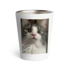 ねこねこねこのおどろきねこ Thermo Tumbler