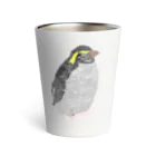 さらだの太っちょペンギン Thermo Tumbler