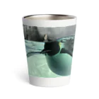 ペンギンの写真のコウテイペンギン　写真　リアル Thermo Tumbler