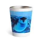 ペンギンの写真のヒゲペンギン　写真　リアル Thermo Tumbler