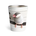 みありんの文鳥のびたろう-おすまし Thermo Tumbler