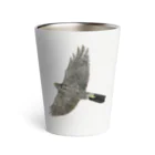 Coshi-Mild-Wildの🪶猛禽類　ツミ　🦅 だぞっ‼️ Thermo Tumbler