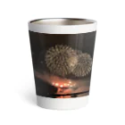 繋　Tom'sの花火 Thermo Tumbler