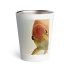 アヒル屋のちょいオコ金魚くん Thermo Tumbler