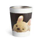 まみおデザインのフレブルくん（クリーム） Thermo Tumbler