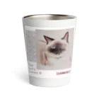 CHANMARKET のシャム猫 マダム・カエラ Thermo Tumbler