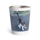 ながしっぽ from.さくらねこの家のながしっぽ　type.Ｊ Thermo Tumbler