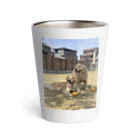 Golden Retriever Sarah&TaroのGolden Retriever Sarah&Taro2 Thermo Tumbler