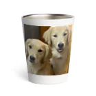 Golden Retriever Sarah&TaroのGolden Retriever Sarah&Taro3 サーモタンブラー