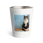 DearCatのサビーヌちゃん Thermo Tumbler