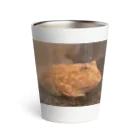 YOKOのSHOPのKoma Thermo Tumbler