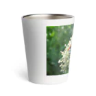 LittlebeeGardenのsucculent2 Thermo Tumbler