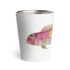 Coshi-Mild-Wildの甘鯛　D  Thermo Tumbler