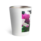 prosopocoilusunのCyclamen Thermo Tumbler