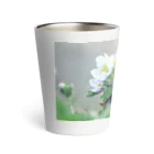 asako=niagaraの植物図鑑 ハクサンイチゲ② Thermo Tumbler