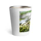 ﾛｯﾄﾓｰﾝﾄの苔むした Thermo Tumbler