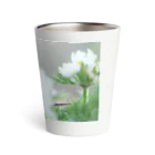 asako=niagaraの植物図鑑 ハクサンイチゲ② Thermo Tumbler