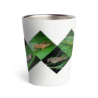 直翅類.jpのORTHOPTERA Thermo Tumbler